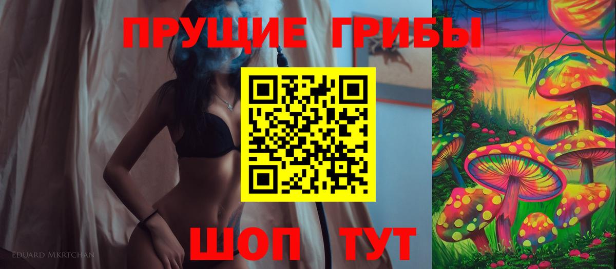 Псилоцибиновые грибы Psilocybine cubensis  Вход с VPN  Новоуральск 